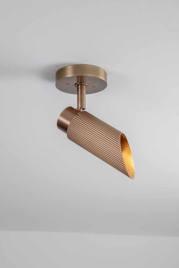 Spot Pro Ceiling Light