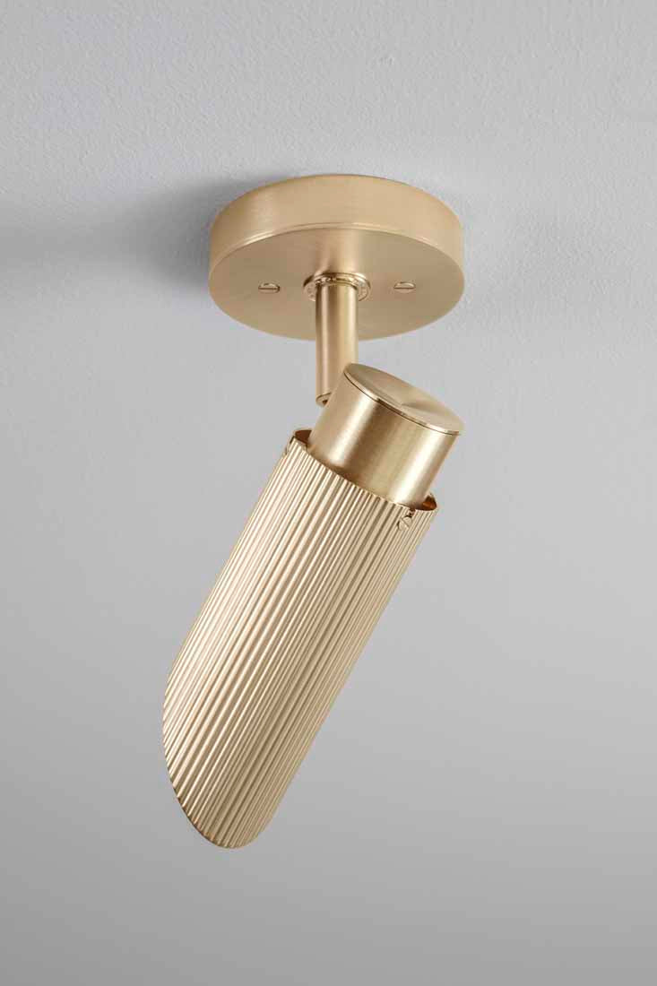 Spot Pro Ceiling Light