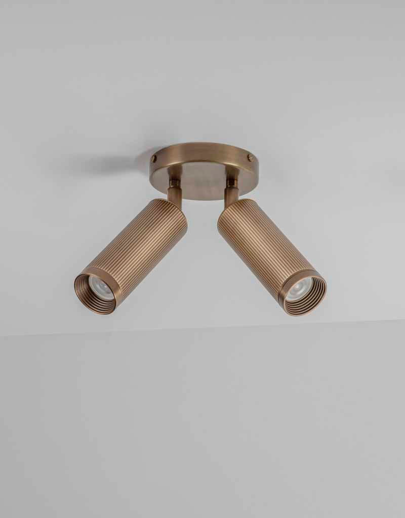 Spot Double Ceiling Light