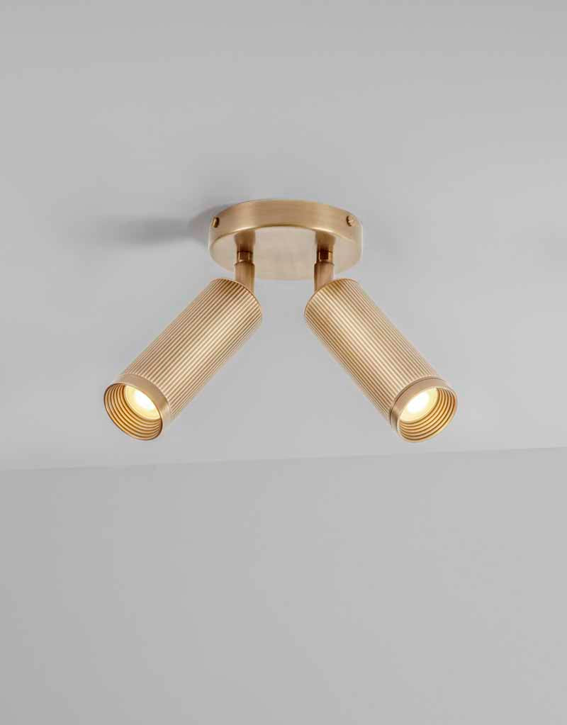 Spot Double Ceiling Light