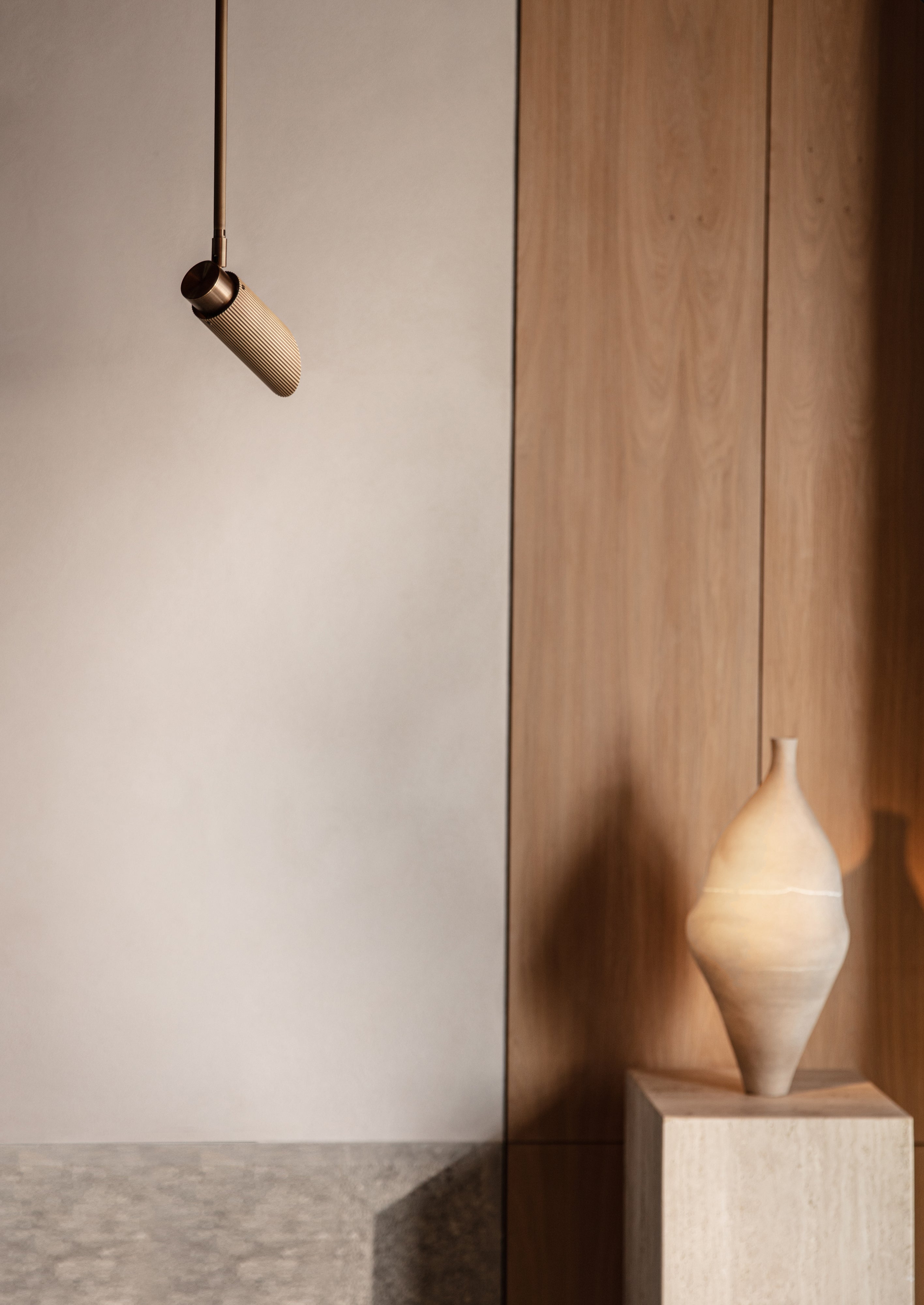 Spot Pro Ceiling - 1000 Drop Rod