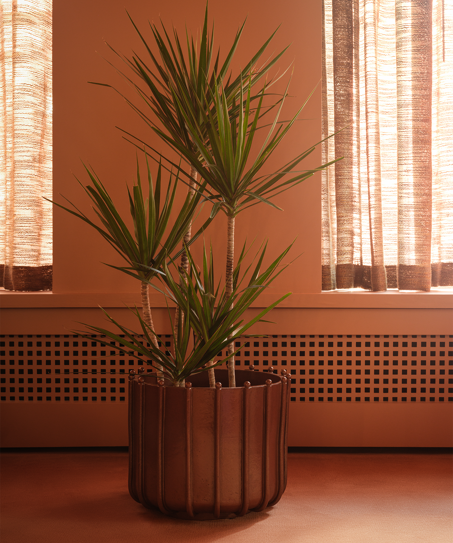 Planter No. I - Magna