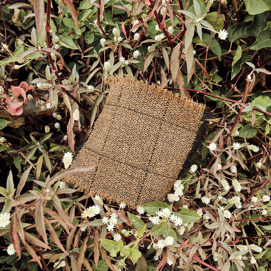 Performance Graph - Chicory Grid
