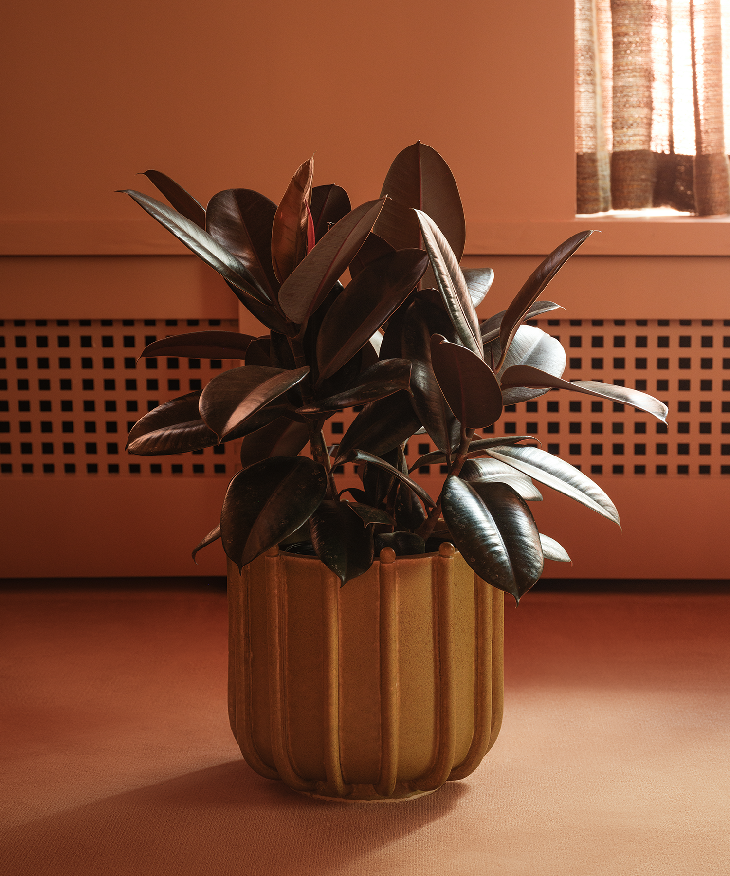 Planter No. I