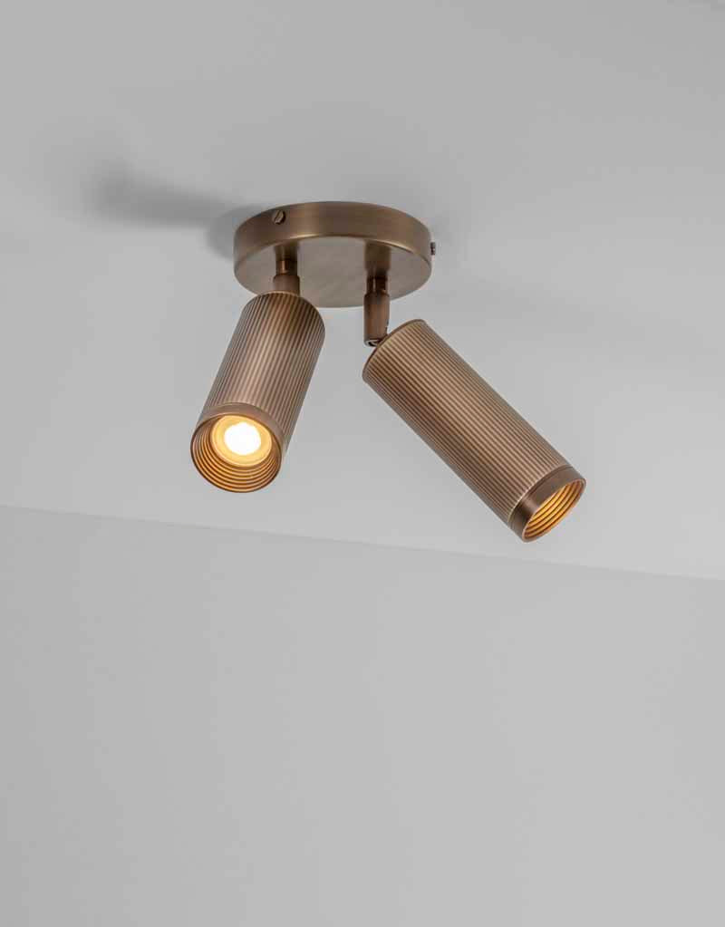 Spot Double Ceiling Light